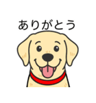ラブラドールレトリバー (イエロー)（個別スタンプ：23）
