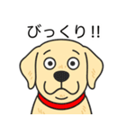 ラブラドールレトリバー (イエロー)（個別スタンプ：24）