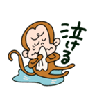 さるさんだけのスタンプ（個別スタンプ：12）
