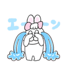 家族で使える！ぶりぶりうさぎ（個別スタンプ：34）
