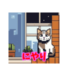 気まぐれ黒猫のゆるスタンプ（個別スタンプ：1）
