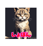 気まぐれ黒猫のゆるスタンプ（個別スタンプ：17）