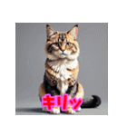 気まぐれ黒猫のゆるスタンプ（個別スタンプ：22）