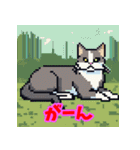 気まぐれ黒猫のゆるスタンプ（個別スタンプ：24）