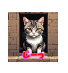気まぐれ黒猫のゆるスタンプ（個別スタンプ：34）
