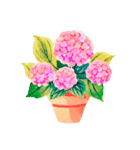 あじさいお花スタンプ2（個別スタンプ：1）