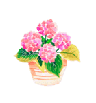 あじさいお花スタンプ2（個別スタンプ：4）