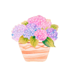 あじさいお花スタンプ2（個別スタンプ：6）