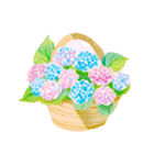 あじさいお花スタンプ2（個別スタンプ：8）