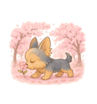 ヨークシャー・テリアと桜のスタンプ@SFW（個別スタンプ：11）