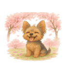ヨークシャー・テリアと桜のスタンプ@SFW（個別スタンプ：18）