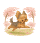 ヨークシャー・テリアと桜のスタンプ@SFW（個別スタンプ：21）