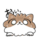 我が家の猫メルちゃん3（個別スタンプ：1）
