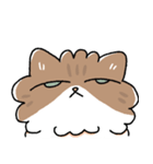 我が家の猫メルちゃん3（個別スタンプ：4）