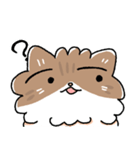 我が家の猫メルちゃん3（個別スタンプ：5）