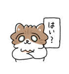 我が家の猫メルちゃん3（個別スタンプ：20）