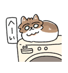 我が家の猫メルちゃん3（個別スタンプ：24）