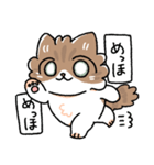 我が家の猫メルちゃん3（個別スタンプ：26）