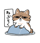 我が家の猫メルちゃん3（個別スタンプ：27）