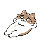 我が家の猫メルちゃん3（個別スタンプ：30）