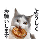 にゃんとも！（敬語やさしい日常）ドーナツ（個別スタンプ：4）