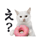 にゃんとも！（敬語やさしい日常）ドーナツ（個別スタンプ：5）