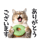 にゃんとも！（敬語やさしい日常）ドーナツ（個別スタンプ：6）