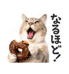 にゃんとも！（敬語やさしい日常）ドーナツ（個別スタンプ：7）