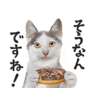 にゃんとも！（敬語やさしい日常）ドーナツ（個別スタンプ：8）