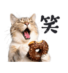 にゃんとも！（敬語やさしい日常）ドーナツ（個別スタンプ：9）
