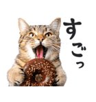 にゃんとも！（敬語やさしい日常）ドーナツ（個別スタンプ：11）