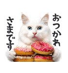 にゃんとも！（敬語やさしい日常）ドーナツ（個別スタンプ：14）