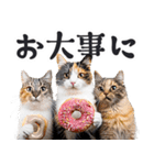 にゃんとも！（敬語やさしい日常）ドーナツ（個別スタンプ：21）
