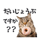 にゃんとも！（敬語やさしい日常）ドーナツ（個別スタンプ：22）