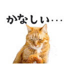 にゃんとも！（敬語やさしい日常）ドーナツ（個別スタンプ：23）