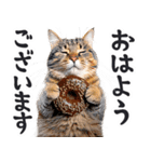 にゃんとも！（敬語やさしい日常）ドーナツ（個別スタンプ：25）