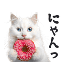 にゃんとも！（敬語やさしい日常）ドーナツ（個別スタンプ：28）