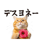 にゃんとも！（敬語やさしい日常）ドーナツ（個別スタンプ：30）