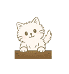 使いやすいもふもふした猫（個別スタンプ：16）