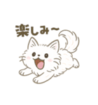 使いやすいもふもふした猫（個別スタンプ：36）