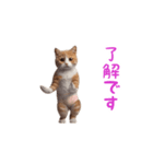 踊る！おパンツ猫（個別スタンプ：2）