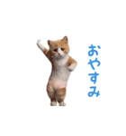踊る！おパンツ猫（個別スタンプ：4）