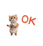 踊る！おパンツ猫（個別スタンプ：5）