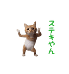 踊る！おパンツ猫（個別スタンプ：7）