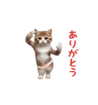 踊る！おパンツ猫（個別スタンプ：8）
