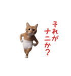 踊る！おパンツ猫（個別スタンプ：9）