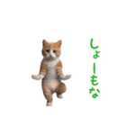 踊る！おパンツ猫（個別スタンプ：10）