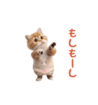 踊る！おパンツ猫（個別スタンプ：11）