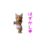 踊る！おパンツ猫（個別スタンプ：12）