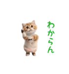 踊る！おパンツ猫（個別スタンプ：13）